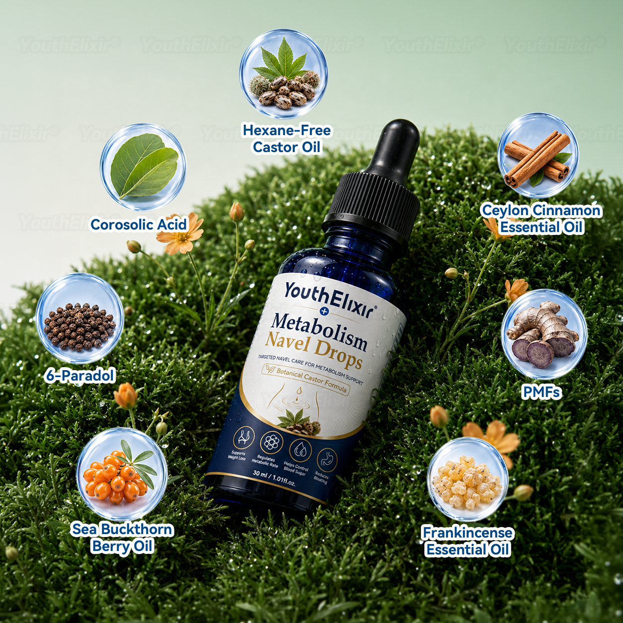 🌻🌻YouthElixir® Metabolism Navel Drops | Natural Belly Balance & Wellness Support