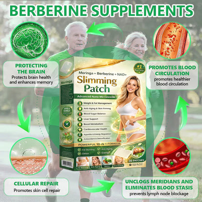 Berberine Slimming Microneedle Patch | 10-in-1 Weight Management Support