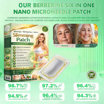 Berberine Slimming Microneedle Patch | 10-in-1 Weight Management Support